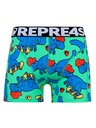 Represent Moške gaće EXCLUSIVE SPORT SKATING T-REX