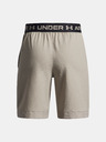 Under Armour Deške kratke hlače Under Armour UA Vanish Shorts-BRN