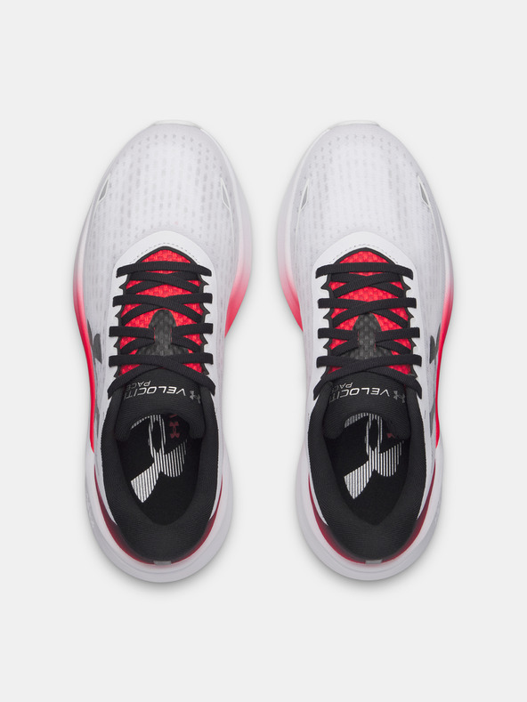 Under Armour Moški čevlji Under Armour UA Velociti Pace