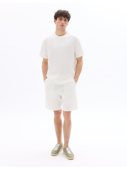Celio Majica Neplissti