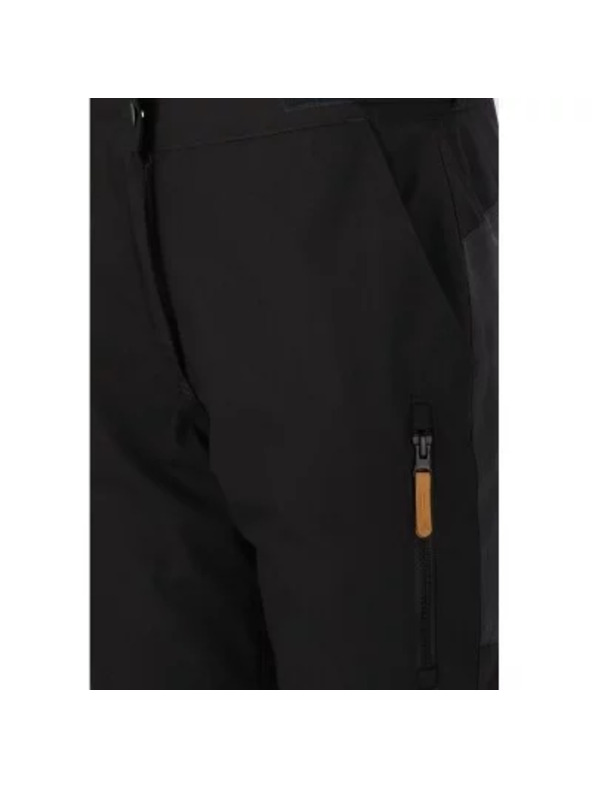 Whistler Moške hlače za na prostem Whistler WANDER