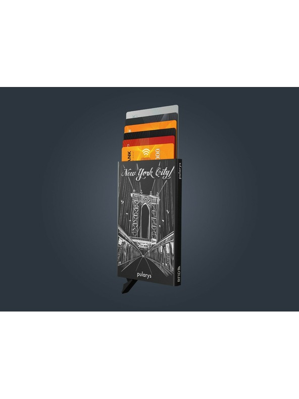 Pularys Etui za dokumente Pularys Brooklyn črno aluminij 194110801