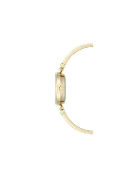 Anne Klein Zlate ženske ure Anne Klein