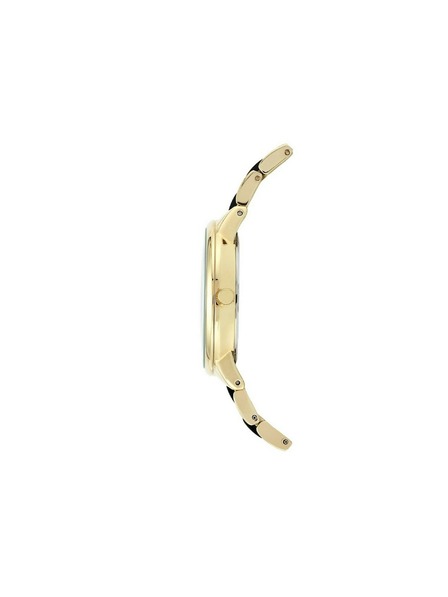 Anne Klein Zlate ženske ure Anne Klein