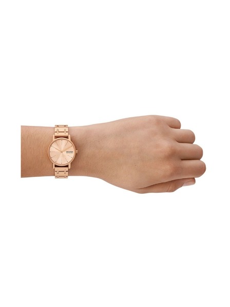Skagen Ženske okrogle ure Skagen Signatur Lille SKW3125