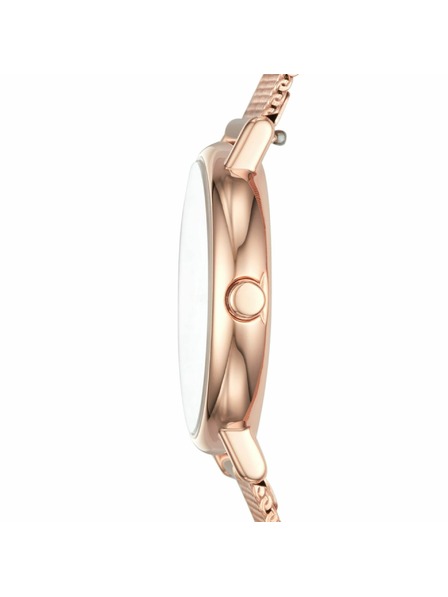 Skagen Ženske ure Skagen Signatur Lille Mesh SKW2694
