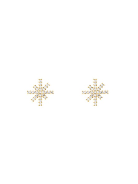 Daniel Wellington Ženski jekleni uhani Daniel Wellington Mirelle Star DW00401611