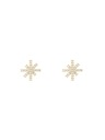 Daniel Wellington Ženski jekleni uhani Daniel Wellington Mirelle Star DW00401611