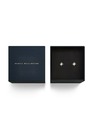 Daniel Wellington Ženski jekleni uhani Daniel Wellington Mirelle Star DW00401611