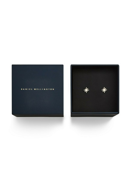 Daniel Wellington Ženski jekleni uhani Daniel Wellington Mirelle Star DW00401611