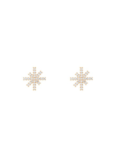 Daniel Wellington Ženski jekleni uhani Daniel Wellington Mirelle Star DW00401612