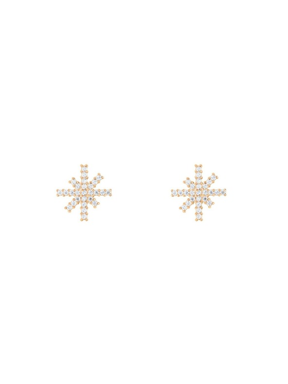 Daniel Wellington Ženski jekleni uhani Daniel Wellington Mirelle Star DW00401612