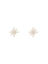 Daniel Wellington Ženski jekleni uhani Daniel Wellington Mirelle Star DW00401612