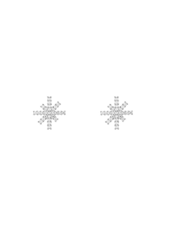 Daniel Wellington Ženski jekleni uhani Daniel Wellington Mirelle Star DW00401613