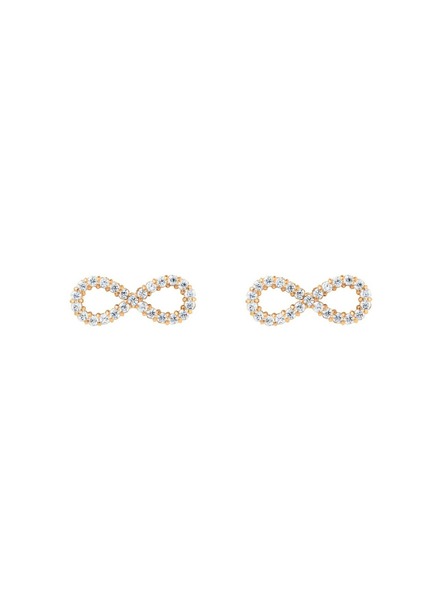 Daniel Wellington Ženski jekleni uhani Daniel Wellington Mirelle Infinity DW00401615