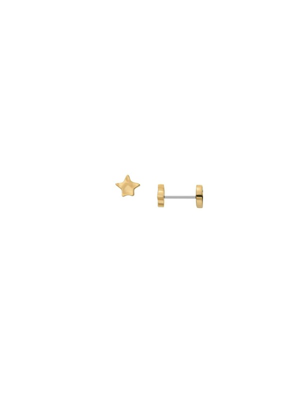 Skagen Ženski uhani Skagen Anja SKJ1891710