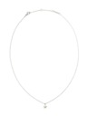 Daniel Wellington Ženski jekleni ogrlica Daniel Wellington DW00401957