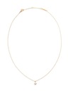 Daniel Wellington Ženski pozlačeni ogrlica Daniel Wellington DW00401959