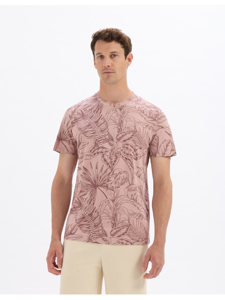 Celio Majica Lesafari