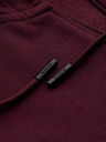 Ombre Clothing Moška bombažna jopa BASIC z zadrgo Ombre Clothing