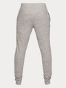 Under Armour Moške spodnji del trenirke Under Armour Sportstyle Terry Jogger