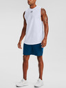Under Armour Moške kratke hlače Under Armour Woven Graphic Shorts