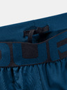 Under Armour Moške kratke hlače Under Armour Vanish Woven Graphic Sts