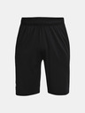 Under Armour Moške kratke hlače Under Armour UA Raid 2.0 Shorts