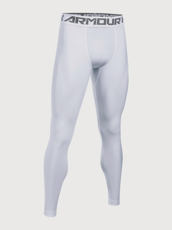 Under Armour Moške pajkice Under Armour Hg 2.0 Legging