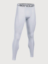 Under Armour Moške pajkice Under Armour Hg 2.0 Legging