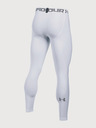 Under Armour Moške pajkice Under Armour Hg 2.0 Legging