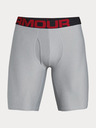 Under Armour Moške boksarice Under Armour Tech 9in 2 Pack