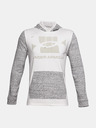 Under Armour Moški pulover Under Armour Sportstyle Terry KO HD