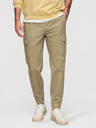 Ombre Clothing Moške hlače JOGGERY s tovornimi žepi na zadrgo - khaki V1 OM-PAJO-0290 Ombre Clothing