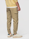 Ombre Clothing Moške hlače JOGGERY s tovornimi žepi na zadrgo - khaki V1 OM-PAJO-0290 Ombre Clothing