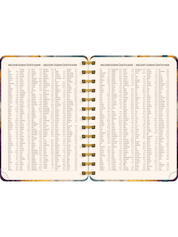 NOTIQUE NOTIQUE Spiralni 18-mesečni dnevnik Petito – Pisana agat 2026/2027, 13 x 18 cm