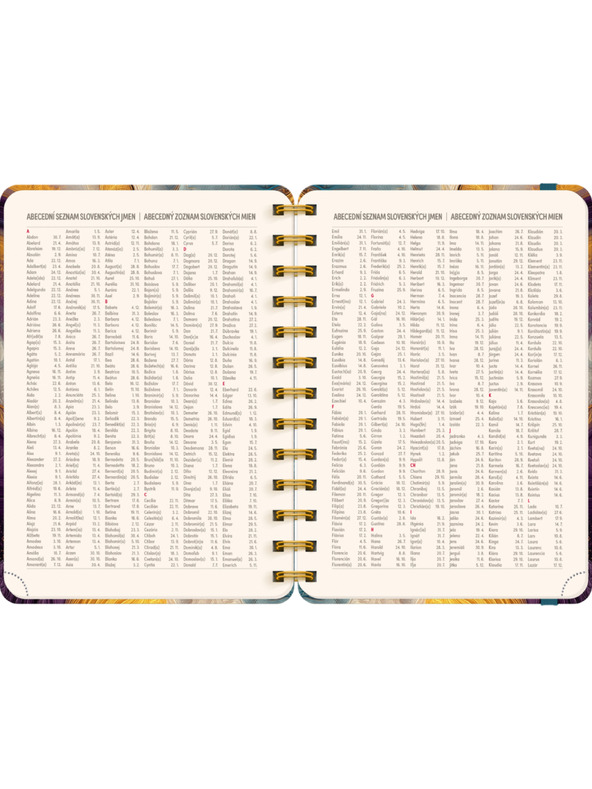 NOTIQUE NOTIQUE Spiralni 18-mesečni dnevnik Petito – Pisana agat 2026/2027, 13 x 18 cm