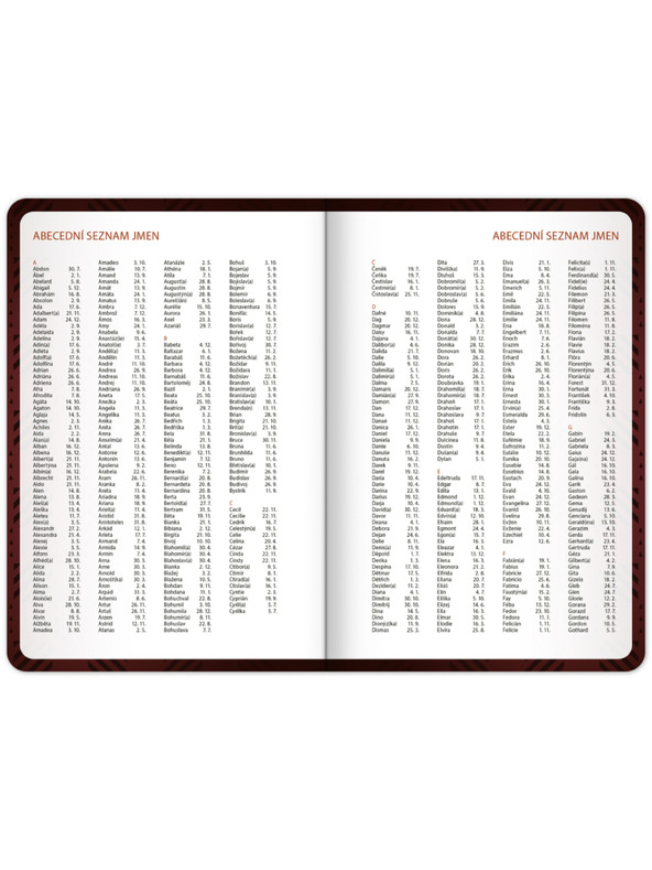 NOTIQUE NOTIQUE Študentski dnevnik Harry Potter (september 2026 – december 2027), 9,8 x 14,5 cm