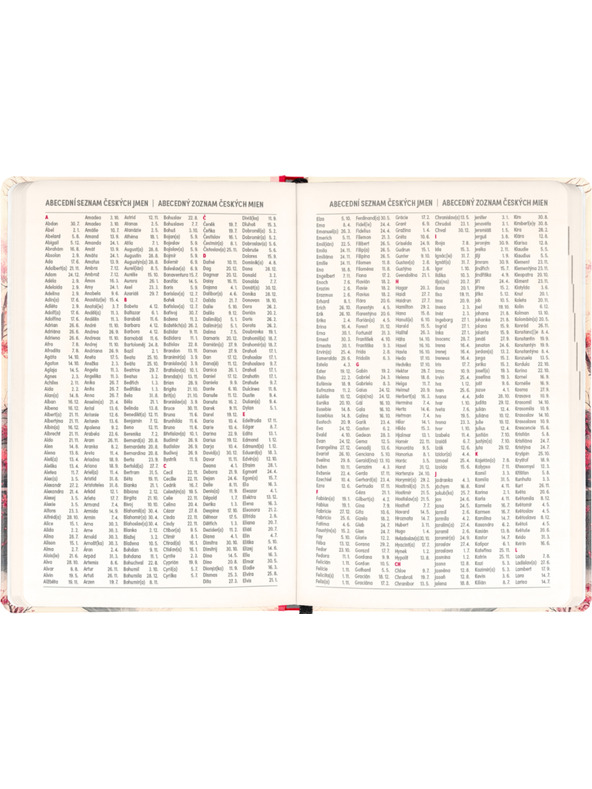 NOTIQUE NOTIQUE 18-mesečni dnevnik Petito – Japonska 2026/2027, 11 x 16 cm