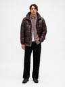 GAP Srajca Oxford standardnega kroja GAP