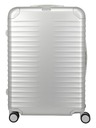 Titan Potovalni kovček Titan Eternity L Silver