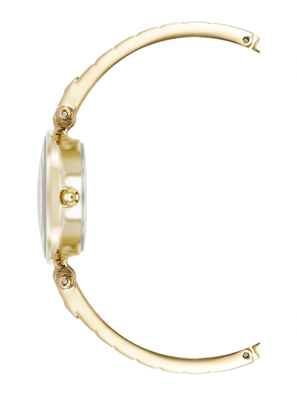 Anne Klein Ženske okrogle ure Anne Klein AK/5390CHGB