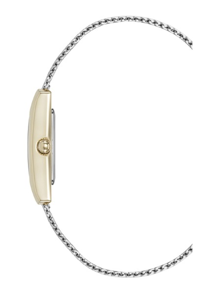 Anne Klein Ženske kvadratne ure Anne Klein mesh AK/5233MPTT