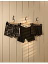 Celio Boxerji Mike Tyson