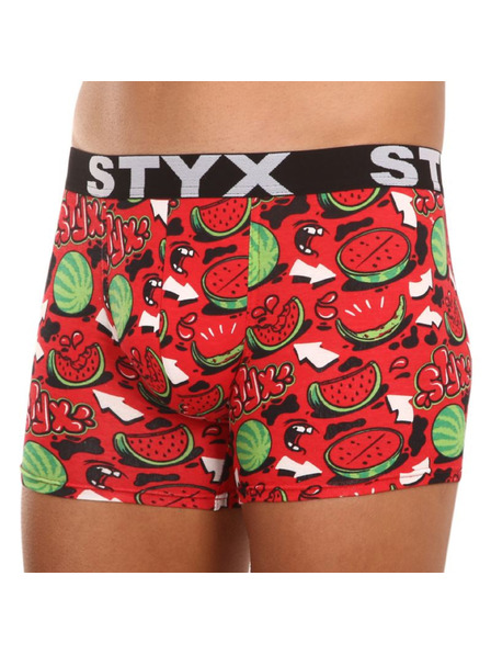 Styx Moške boksarice Styx z dolgimi umetniškimi hlačami športne elastične arbuze