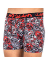 69slam Moške boksarke 69SLAM fit bamboo red sugar crane