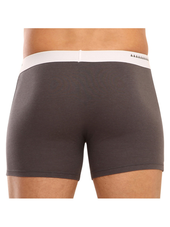 69slam Moške boksarke 69SLAM fit bamboo plain