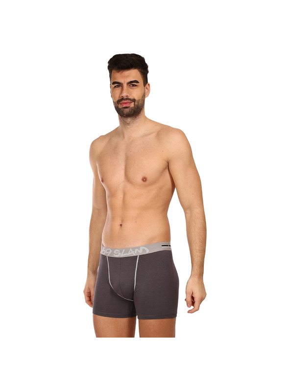 69slam Moške boksarke 69SLAM fit bamboo plain