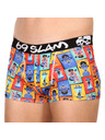 69slam Moške boksarice 69SLAM hip mex card mason