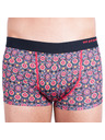 69slam Moške boksarice 69SLAM hip flower skull